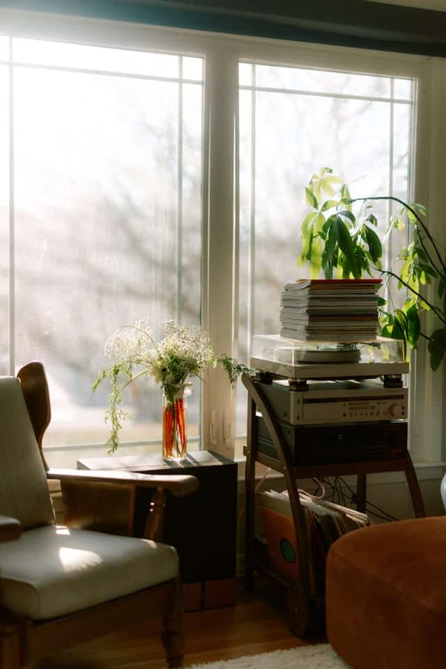 Armchairs and a plant in a bright counselling room
