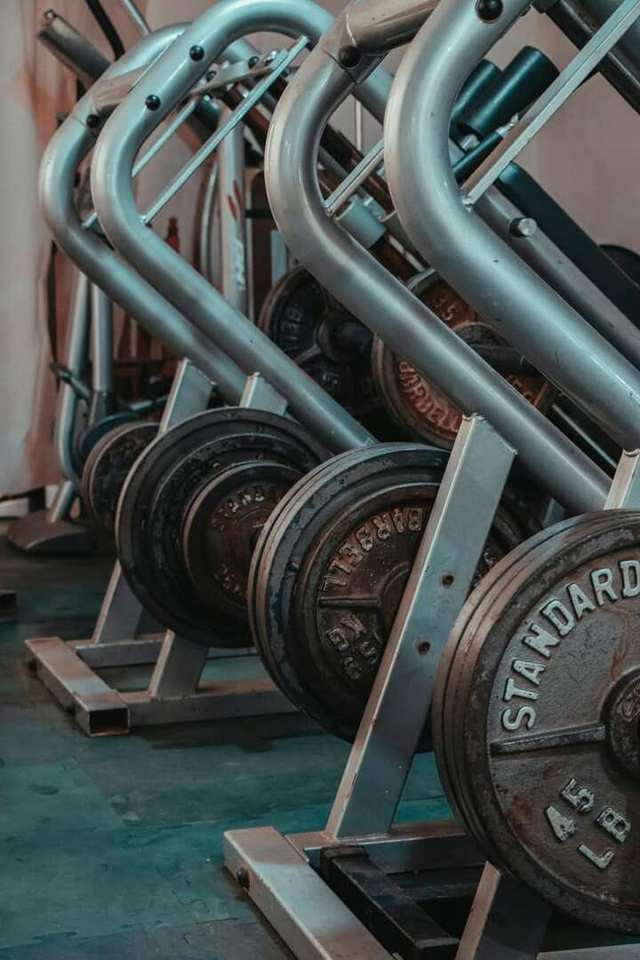 Dumbbells arranged on a rack