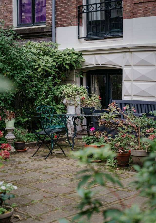 Garden patio and lawn beside planted borders