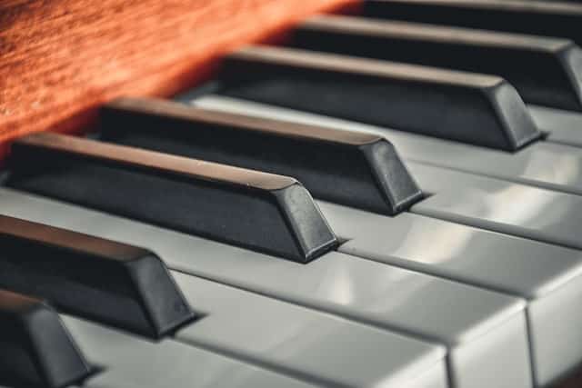Close-up of piano keys
