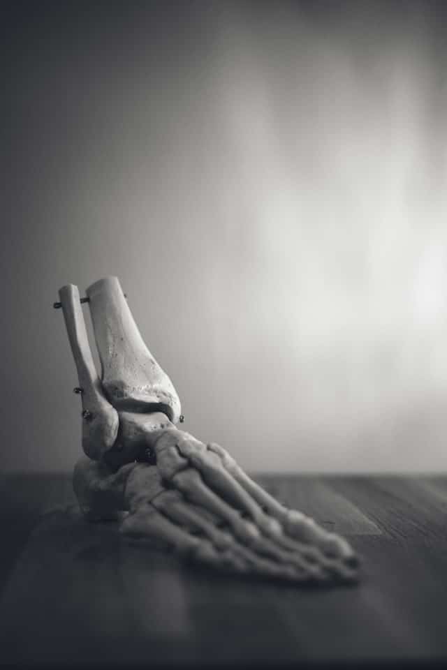 Foot anatomy model on a wooden table