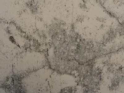 Textured wall showing damp and mould marks