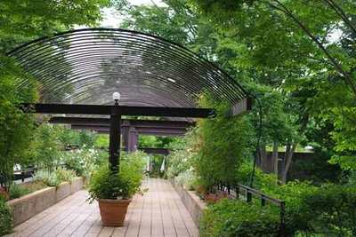 Wooden deck in a landscaped garden