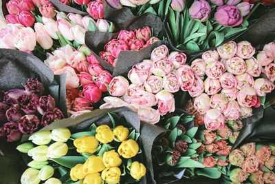 Colourful flower bouquets arranged for display