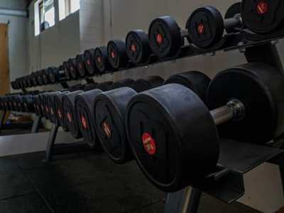 Dumbbells resting on a gym rack