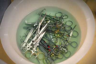 Pet grooming scissors and metal tools in a bowl